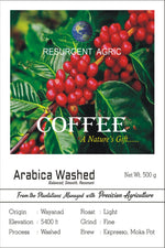 Load image into Gallery viewer, Arabica Washed (Light - Fine)