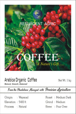 Load image into Gallery viewer, Arabica Organic Coffee (Medium Dark- Medium)

