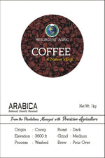 Load image into Gallery viewer, Arabica Washed (Dark - Medium)