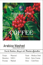 Load image into Gallery viewer, Arabica Washed (Medium Dark - Extra Coarse)