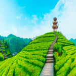 Load image into Gallery viewer, Special Assam CTC Tea