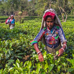 Load image into Gallery viewer, Garden Fresh Assam CTC Tea
