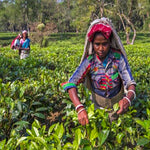 Load image into Gallery viewer, Garden Fresh Assam CTC Tea