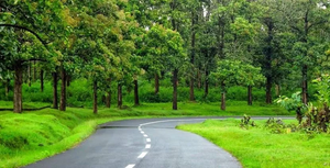 Wayanad