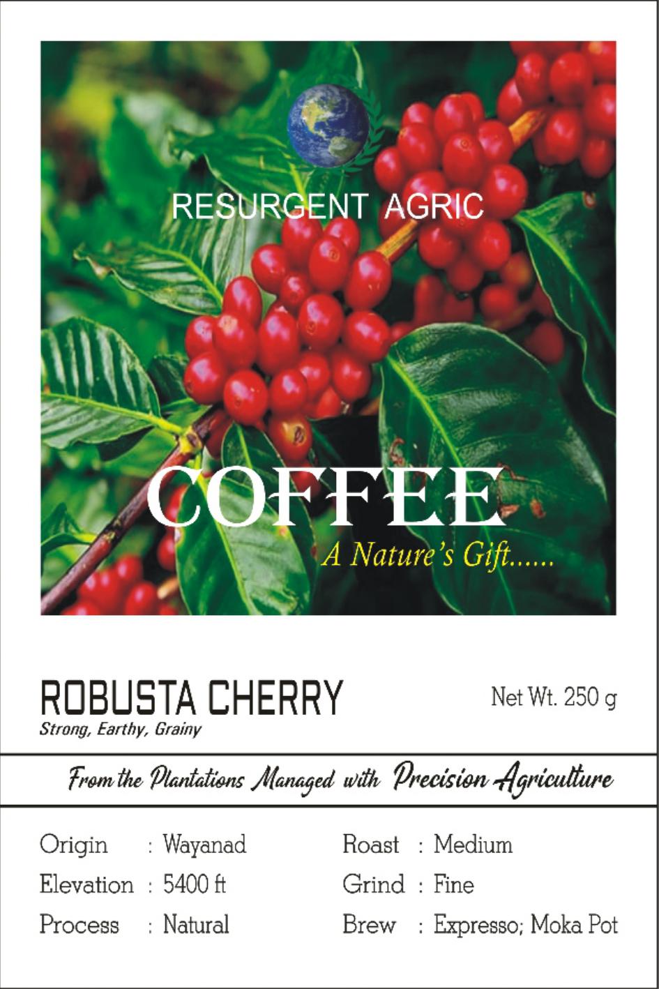 Robusta Cherry ( Medium - Fine)