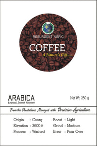 Arabica Washed (Light - Medium)