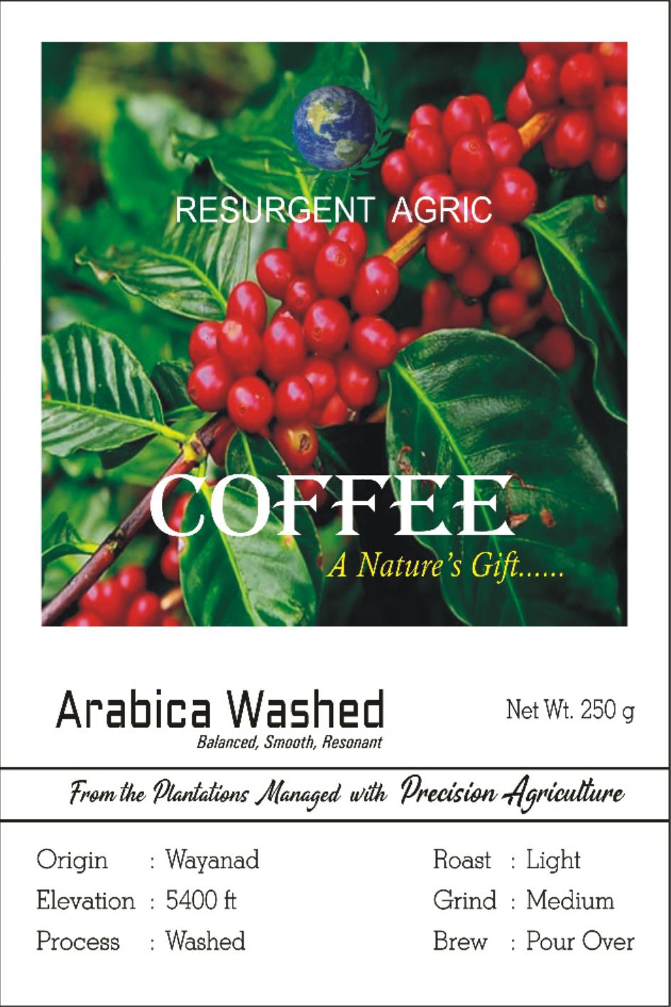 Arabica Washed (Light - Medium )