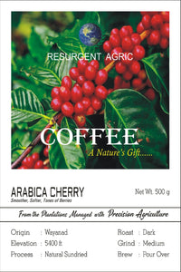 Arabica Cherry (Dark - Medium)