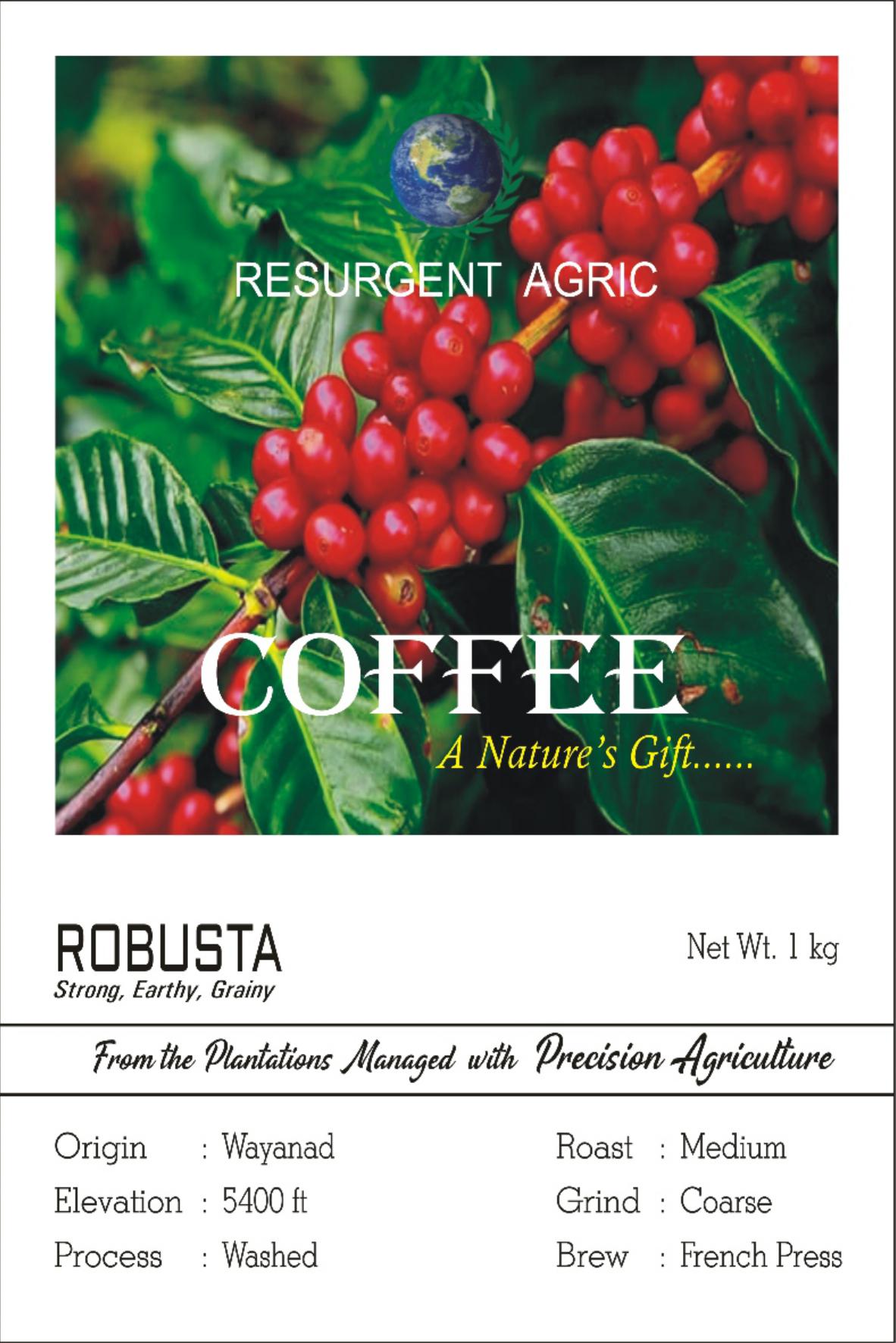 Robusta Washed (Medium - Coarse)
