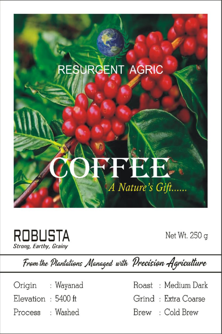 Robusta Washed (Medium Dark - Extra Coarse)
