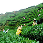 Load image into Gallery viewer, Premium Assam CTC Tea
