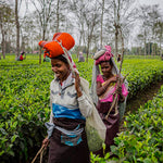 Load image into Gallery viewer, Extra Special Assam CTC Tea
